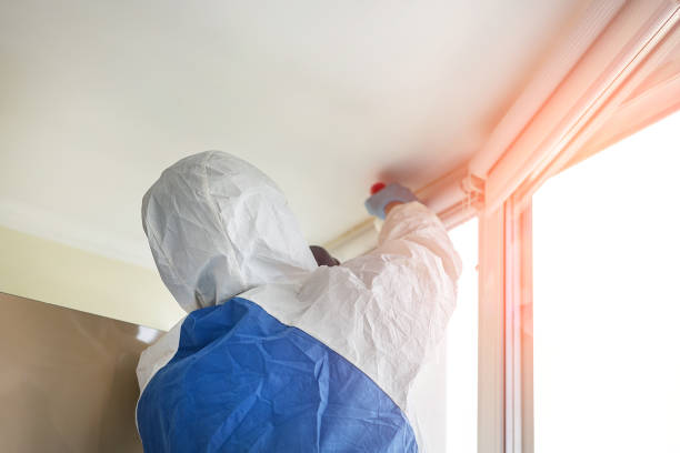 Mold Removal for HVAC Installations